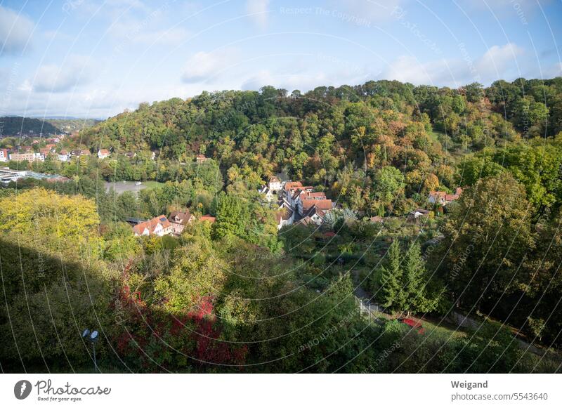 Bird's eye view from the Comburg in Schwäbisch Hall over the trees and roofs of the Steinbach district to the forest behind under a blue sky Bird's-eye view