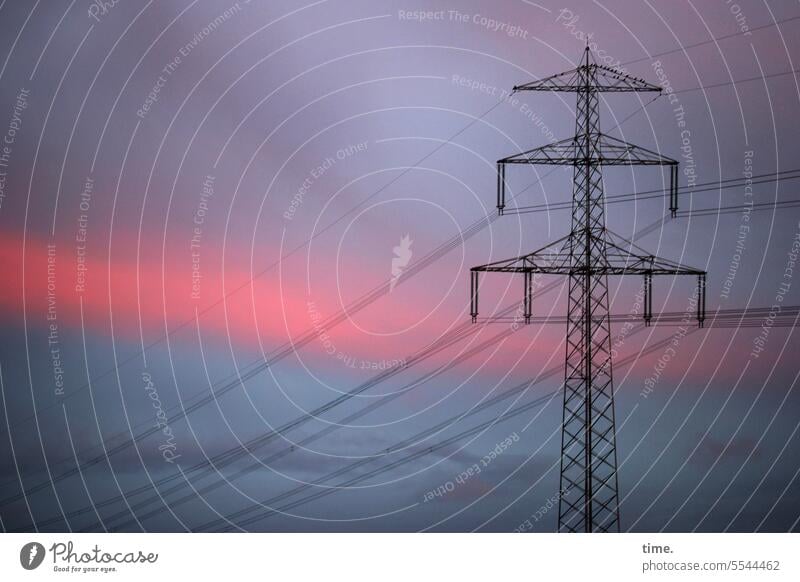 sunset Landscape Sky Horizon Clouds Environment technology Energy industry Power lines Overhead line Power poles Construction site Sunset power supply Cable