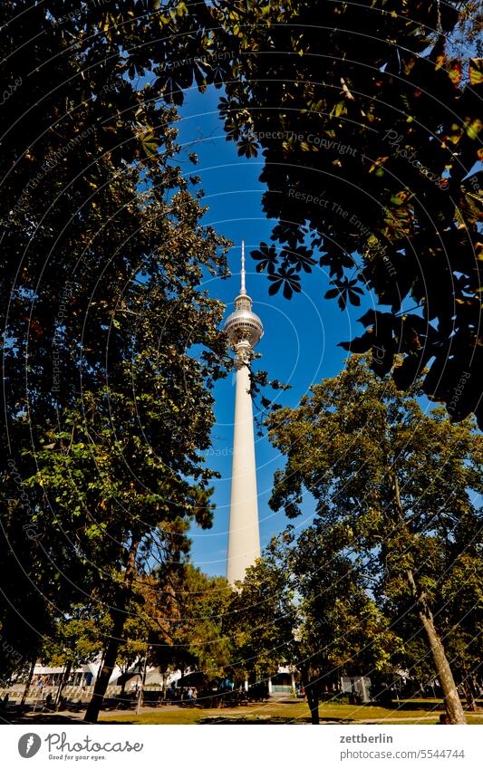 Fernsehturm (versteckt) alex alexanderplatz architektur berlin büro city deutschland fernsehturm froschperspektive funk-und-ukw-turm gebäude hauptstadt haus