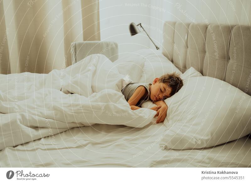 Calm little child sleeping well in comfortable bed. Boy in light cozy bedroom. childhood cute adorable asleep caucasian dream human innocence kid morning person