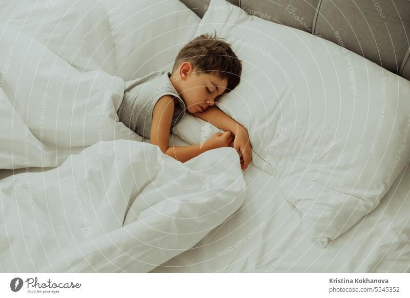 Calm little child sleeping well in comfortable bed. Boy in light cozy bedroom. childhood cute adorable asleep caucasian dream human innocence kid morning person