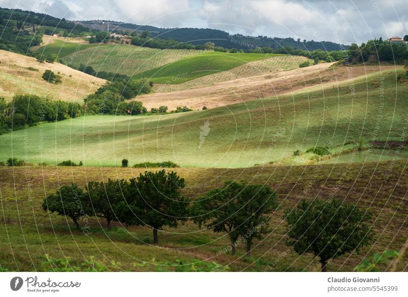 Rural landscape in Tuscany near Torrita di Siena Europe Italy Montefollonico agriculture color country day hill nature photography rural summer travel