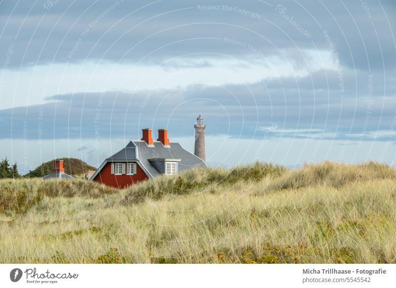 House and lighthouse in the dunes Denmark Skagen Jutland House (Residential Structure) Lighthouse Baltic Sea Landscape Nature vacation travel Tourism