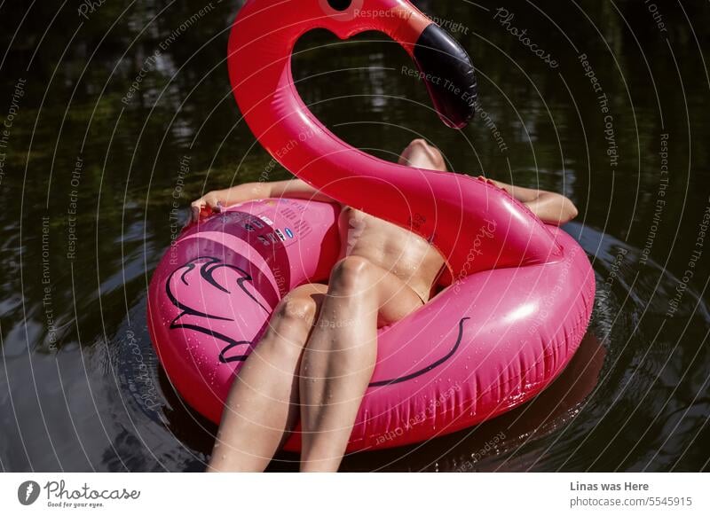 A naked girl is sunbathing on a pink flamingo. With dark waters surrounding her, she is feeling relaxed and sexy in her skin. A hot day with even hotter tanned beauty. This is definitely a pool party worth visiting.