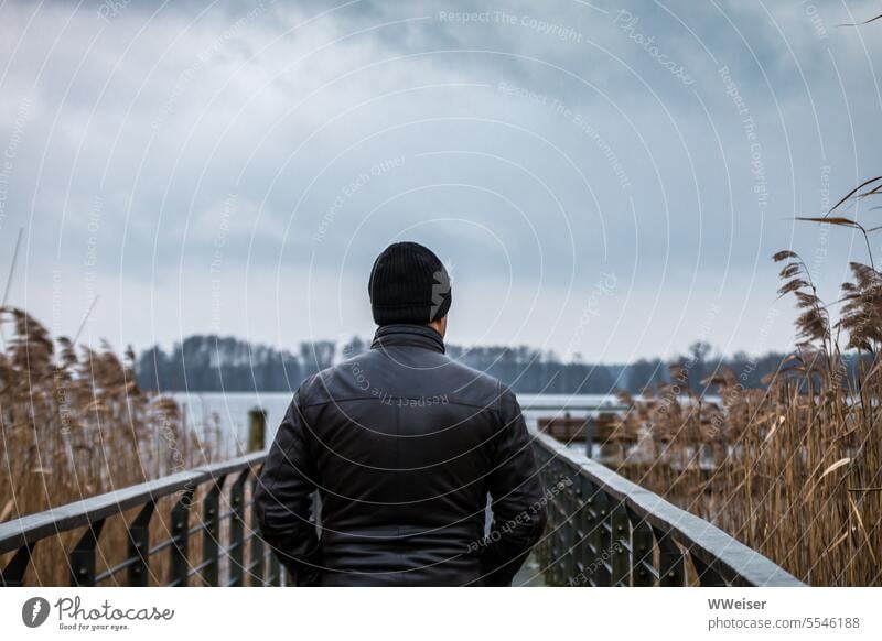 In cold weather, he stands on a footbridge that leads through the reeds and looks out over the lake Man Human being person Winter Cold Nature Meditative Lake