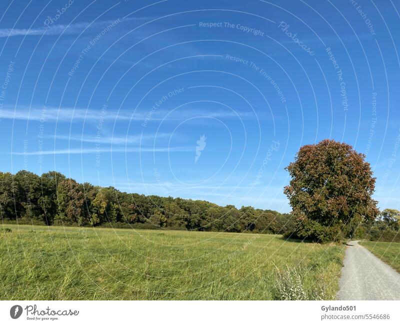 Hiking on Schwanheim meadow and the city forest of Frankfurt autumn background beautiful blue blue sky country countryside environment fall field frankfurt