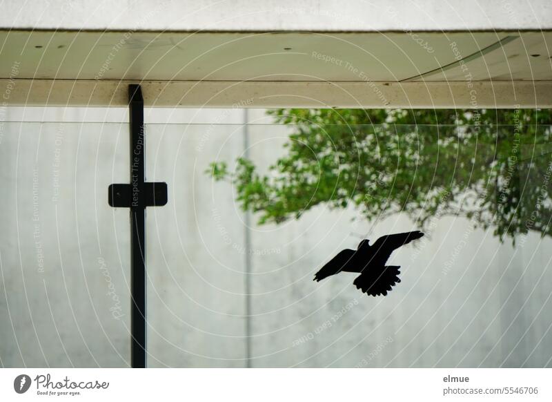 black sticker of a bird of prey on the window of a bus shelter / animal protection measure stickers Animal protection Silhouette bird protection Animal welfare