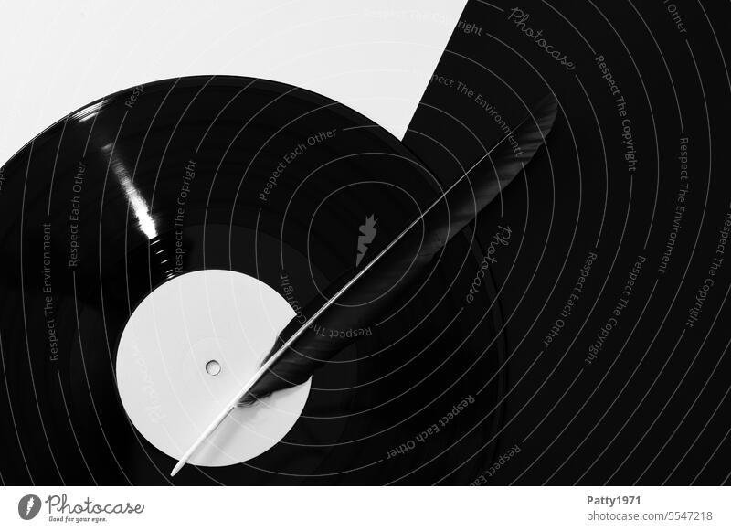 Record and black crow feather on diagonal divided black and white background vinyl Feather Music black on white Round Abstract minimalism Retro Analog