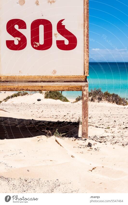SOS Pool attendant Emergency call Hope Help Signage Wood Beach Vacation & Travel First Aid communication Cry for help Seeking help Emergency situation Rescue