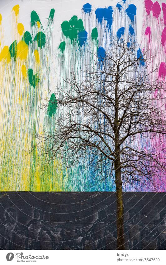 Tree without leaves in front of a wall pelted with paint bags Colour Multicoloured colour stains Wall (building) Facade Color gradient Graffiti Street art