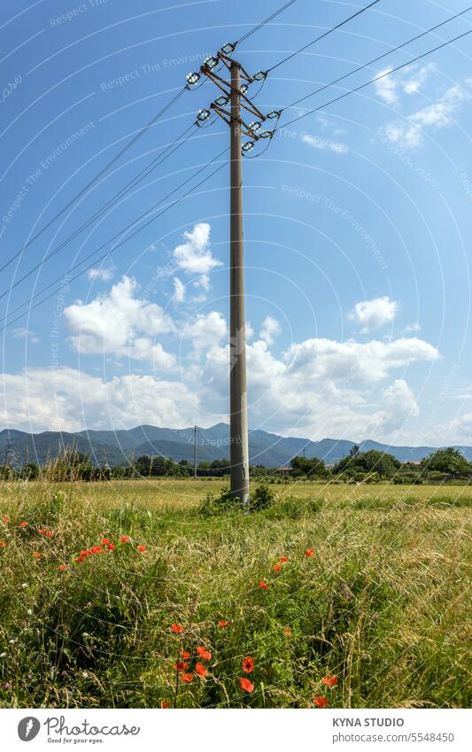Electric pole Outdoor background blue cable clear column communication concrete connection countryside current distribution electric electricity energy