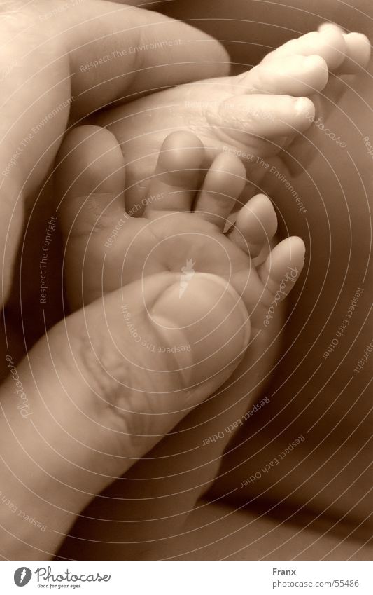 small steps Baby Birth Safety (feeling of) Child Hand Fingers Toes Feet Man Barefoot