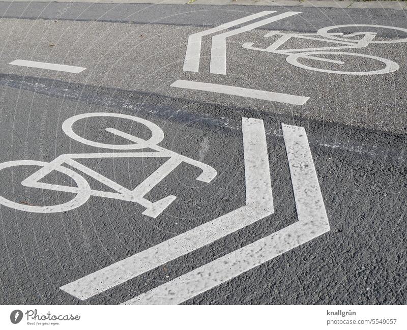 bicycle path Cycle path Traffic infrastructure Lanes & trails Street Road traffic Transport Bicycle Cycling Means of transport Mobility Driving Exterior shot
