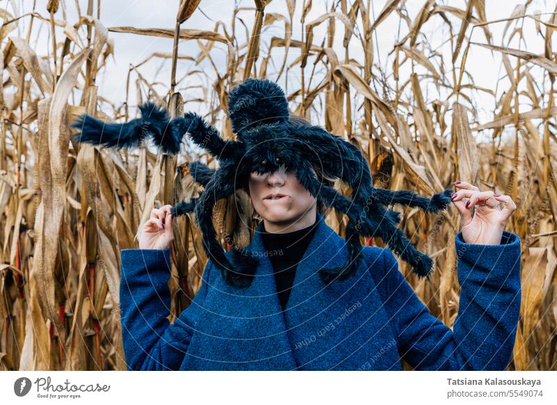 Huge black toy spider on a woman's head in a cornfield during a Halloween party in a cornfield huge distorted face furry large spooky scare fear horror autumn