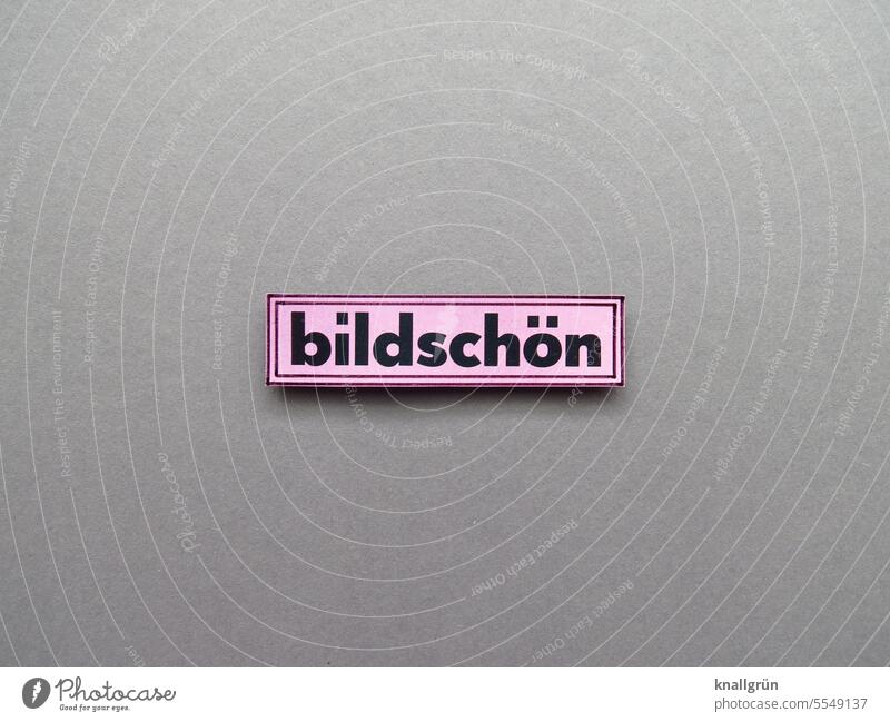 picture-perfect Enthusiasm pretty spellbound Observe Looking Emotions Frame Pink pink Colour photo Gray Black Sharp-edged Studio shot Signs and labeling