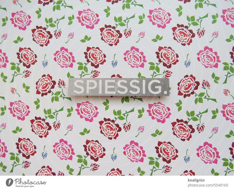 square Petit bourgeois neat Arrangement Germany exemplary Wallpaper Wallpaper pattern Detail Colour photo Deserted Interior shot Pattern Structures and shapes