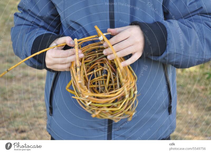 A boy spontaneously weaves a wicker basket from freshly cut flexible willow in the park Willow weaving Child Boy (child) younger Infancy youthful Human being