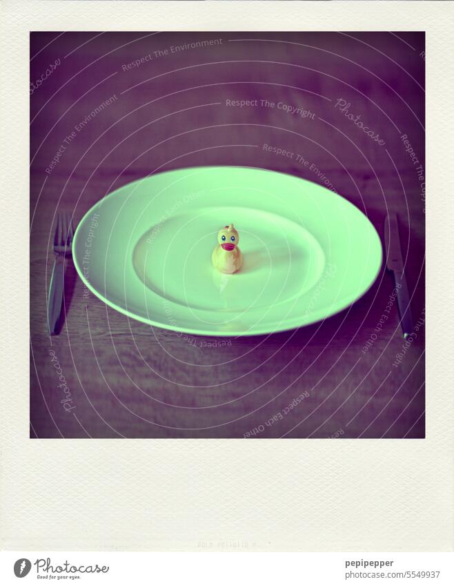 Roast duck - Polaroid of plate with Little squeaking duck Plate Nutrition Food Healthy Eating squeaky duck hunger Appetite Deserted Colour photo