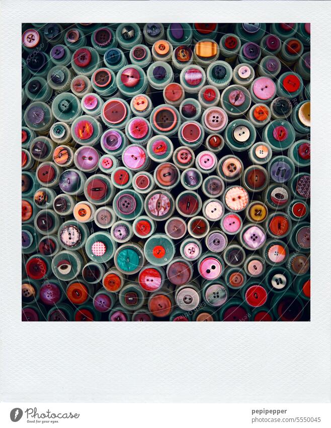 Polaroid - colorful buttons Buttons Cloth Textiles Work and employment textile knob variegated motley Tailor Fashion Clothing Colour photo Sewing Craft (trade)