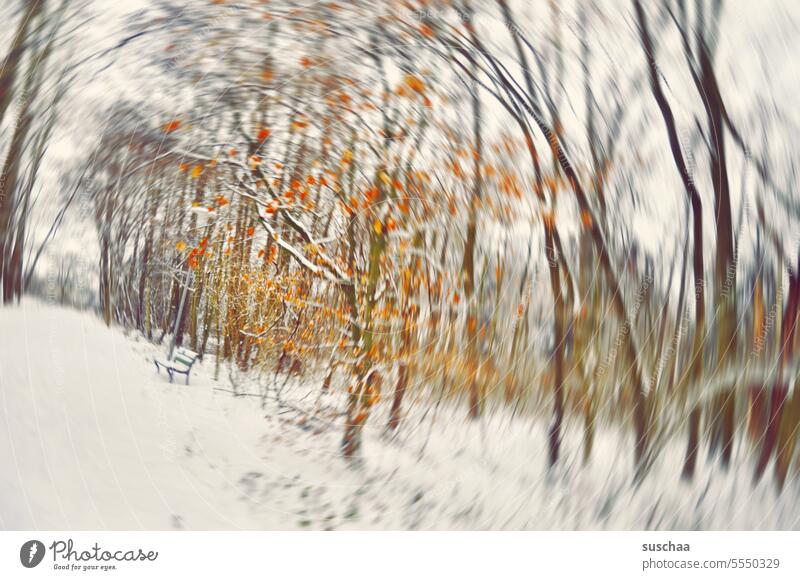 snowdrift with bank Winter Winter scene Rotation rotation motion blur Snow Landscape Forest Winter forest Cold trees branches foliage Autumn leaves Red