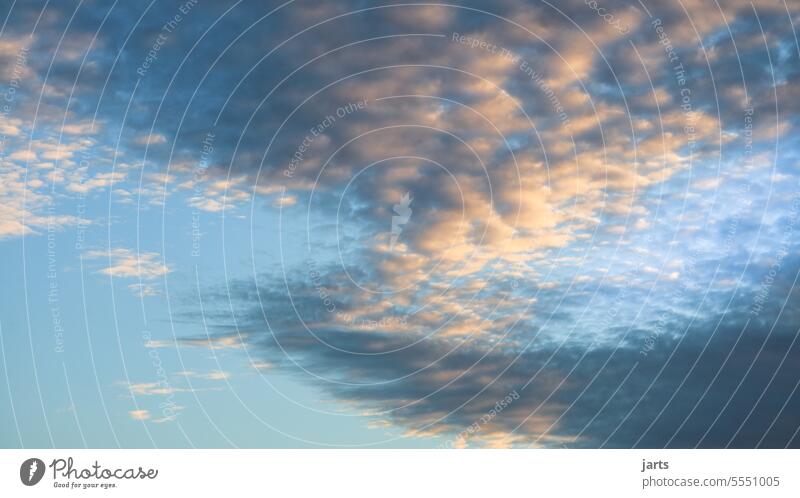 Cloud dynamics Clouds Sky Sheep Clouds Twilight Dynamic graphically Curve Blue sky Beautiful weather Environment Day Exterior shot Sunlight Air Weather Light