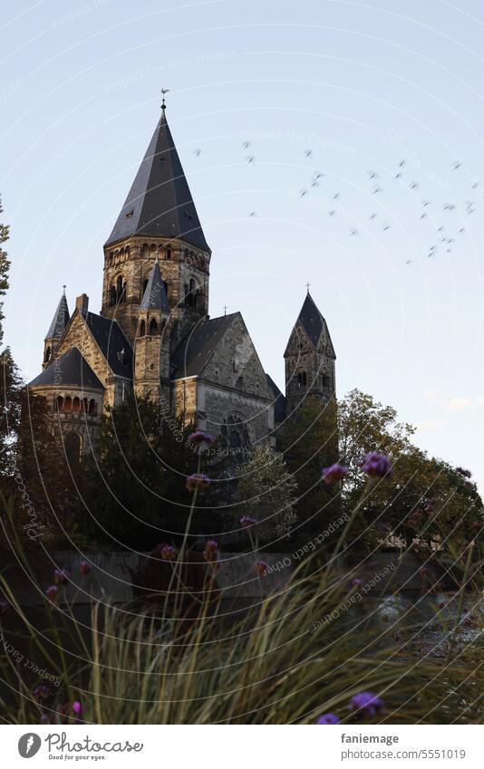 Temple Neuf à Metz Kirche Tempel Frankreich Kirchturm Blumen Blüten Stadt Fluss Vogelschwarm Vögel Herbst herbstlich dunkel angeleuchtet Natur Landschaft