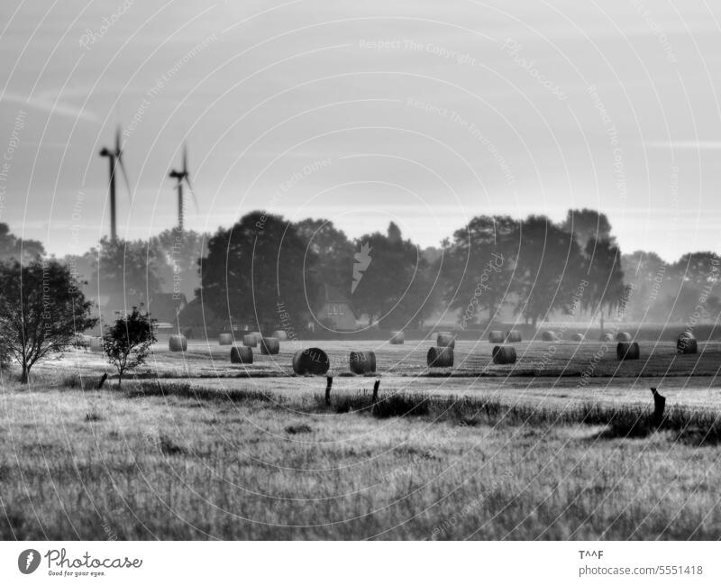 Strohballen auf einem Feld im morgendlichen Nebel im Hintergrund zwei Windkraftanlagen stroh strohballen landwirtschaft feld acker ackerbau abgeentet
