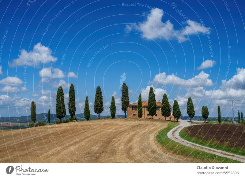 Rural landscape in Tuscany near Pienza Europe Italy Monticchiello Siena Val d Orcia agriculture color country cypress day farm field hill house nature
