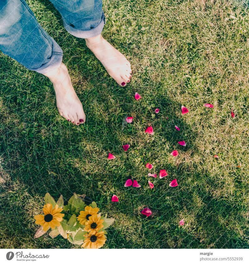 Barefoot - experience on rose petals Feet on the ground Meadow Lawn flowers Rose leaves Woman Jeans Green Exterior shot feet Grass Garden Nature Summer Toes Red