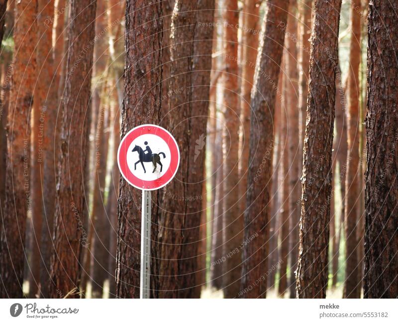 helpful | sign in the forest Signs and labeling interdiction stop Horse Ride Rider Forest Equestrian sports Leisure and hobbies Nature Landscape Tree trees