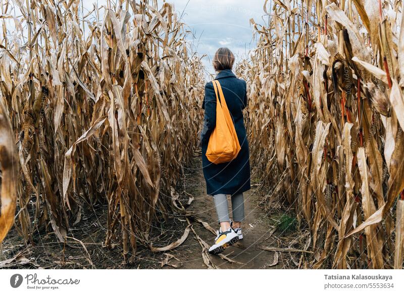 Rear view of a woman in a coat with a bright orange bag walking between rows of corn in a field in autumn rear view fall outdoors rural countryside harvest