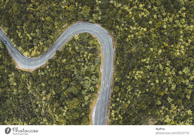 hairpin curve Street Curve road bend hairpin bend Forest jungles Asphalt Meandering Wiggly line Country road Concrete UAV view drone Landscape Nature Transport