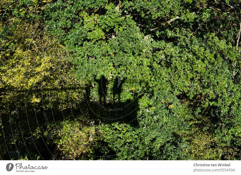 Greeting rituals | friendly wave Wave Shadow trees silhouettes shadow people viewing platform Green shadow cast Shadow image Shadow play Silhouette