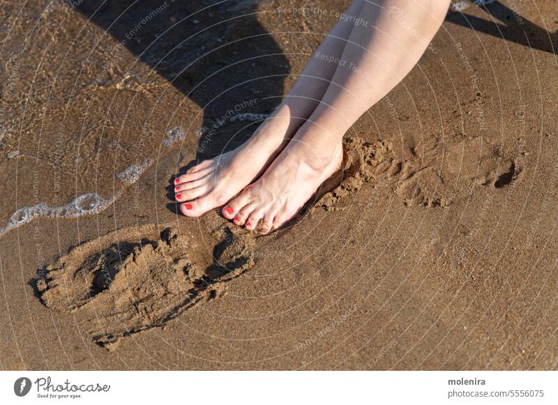 Legs of sitting woman on beach near sea legs toes manicure red sand wave white skin uv tan suntan joint foot vacation summer sunny 30s footstep