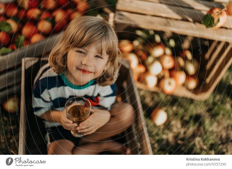 Cute little toddler boy drinking apple juice. Child in wooden box in orchard. child fresh fruit childhood diet freshness glass happy healthy healthy eating