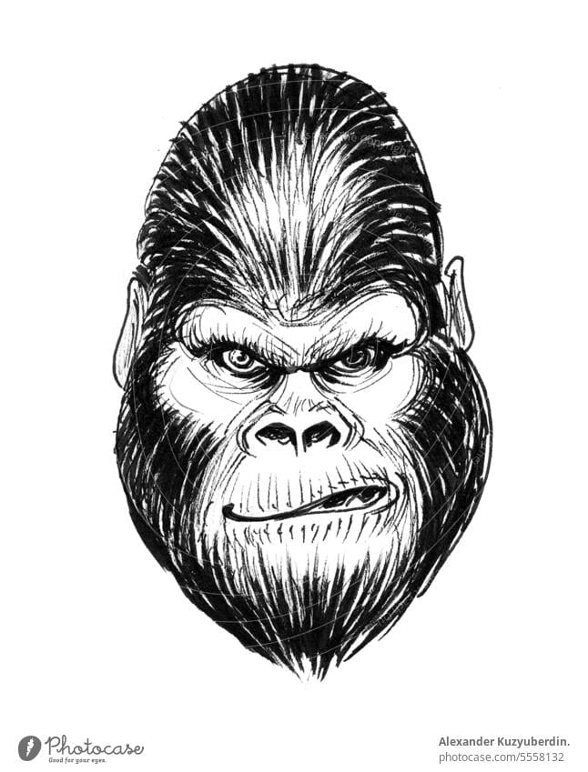 Mad gorilla. Ink black and white illustration aggressive angry animal ape art artwork crazy drawing face head ink king kong mad monster sketch
