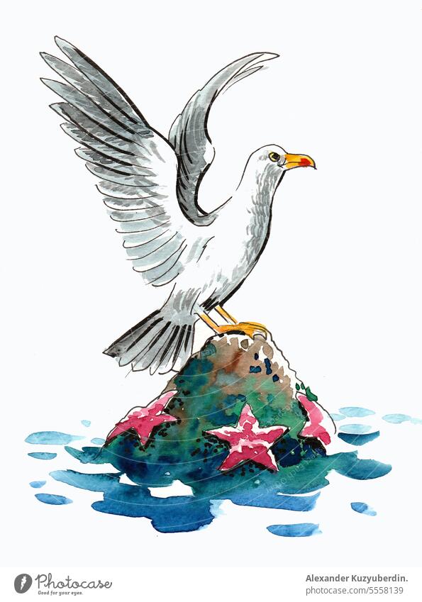 Sitting seagull with a spread wings and starfishes. Ink and watercolor illustration bird cream drawn hand ice isolated marine summer travel white