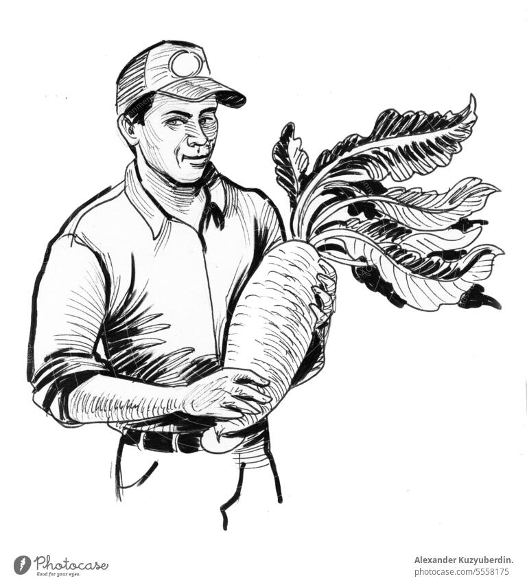 Farmer holding big beet root. Ink black and white drawing agriculture art background crop engraved farm farmer farming food happy illustration man roots smiling