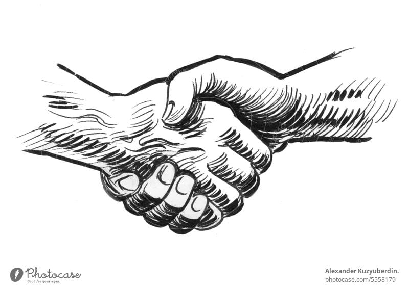 Firm handshake. Ink black and white drawing arm art background business finger gesture human illustration isolated retro sign sketch symbol vector vintage