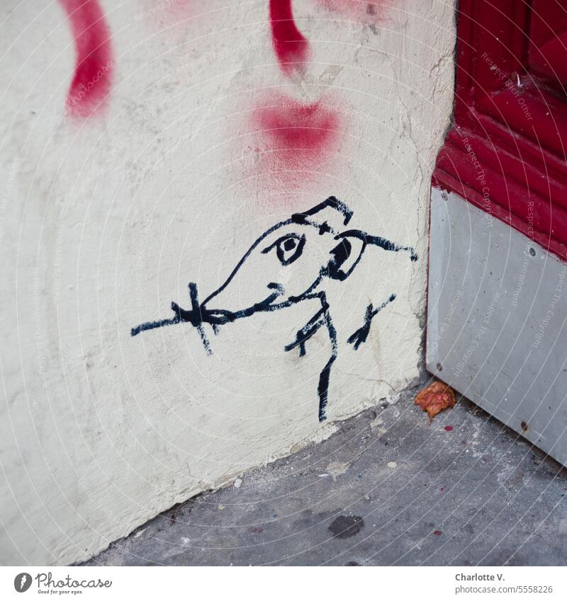 Rat alarm! |rat graffiti Graffiti Rat graffiti Animal rodent Exterior shot Cute Red White Gray Curiosity inquisitorial Wall (building) Concrete Part of a door