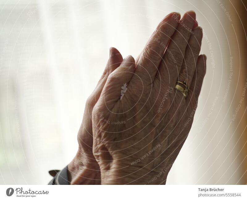 Old women's hands with wedding ring gratefully placed together praying hands praying woman hands old hands many folds wrinkled hands old woman hands