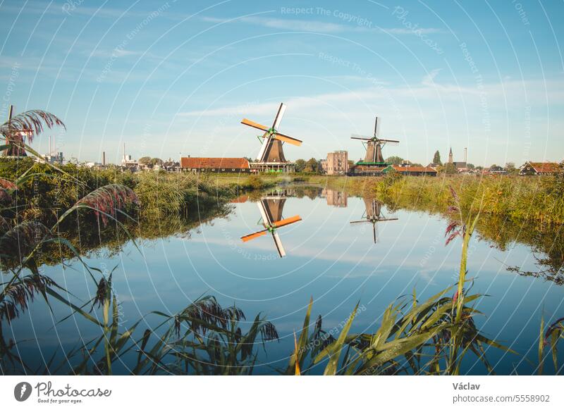 Popular tourist spot Zaanse Schans is near Amsterdam in the west of the Netherlands. Historical, realistic windmills during sunrise. Holland's landmark