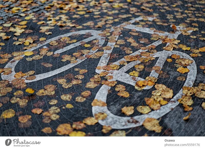 Bicycle pictogram on asphalt under foliage Cycle path cycle path Cycling Autumn Wet slippery peril Transport turnaround Asphalt Street Road traffic mark