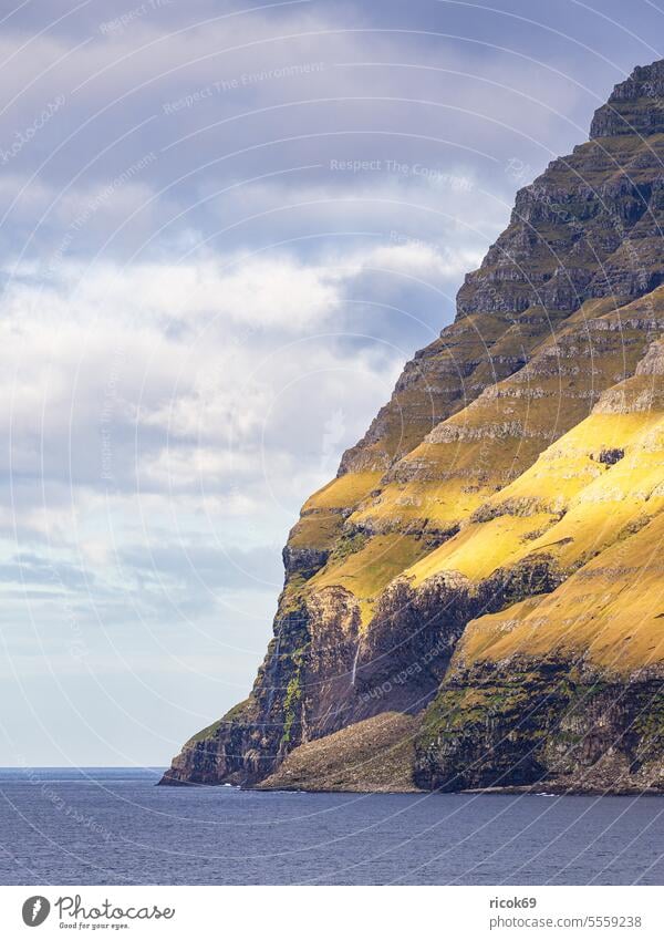 Rocks on the Faroe Island Kalsoy färöer coast Ocean atlantic ocean Northeast Atlantic Atlantic coast Denmark mountain cliffs Landscape Nature Water Stone Grass