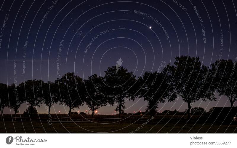 new home - Zeteler Marsch Night stars Silhouette trees Zetel marsh Plejades Jupiter Starry sky Lower Saxony Dark