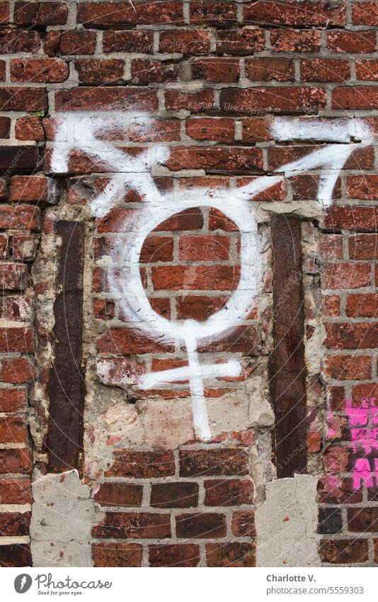 Wide open spaces | Transgender graffiti on a brick wall Graffiti Sign Transgender sign Wall (building) Tolerant Freedom variety Equality Symbols and metaphors