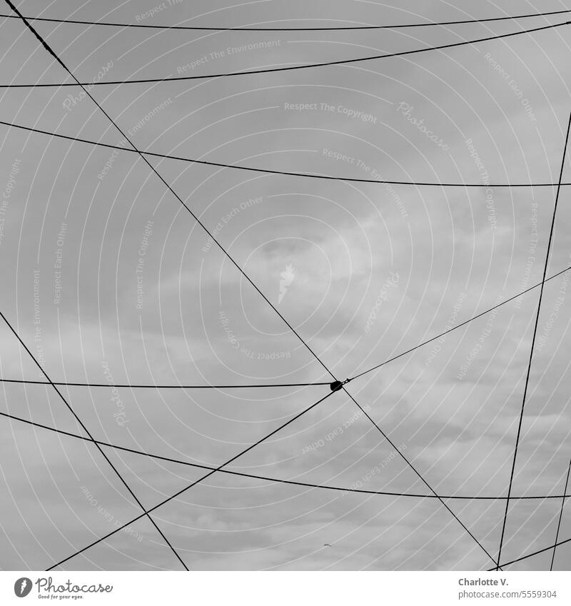 Wide country | Abstractly linked steel cables in front of sky - black and white photo Sky Steel cables Rigging Exterior shot Navigation Links