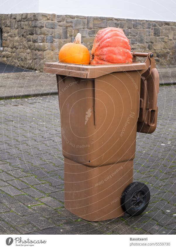 Pumpkins in a bio trash can. Concept image for end of Halloween or Halloween haters. Thanksgiving October Hallowe'en Autumn Harvest Biogradable waste