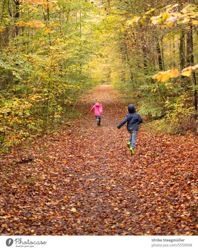 Children running in autumn forest children Nature Lifestyle Forest Running Joy coloured leaves golden autumn Walking Woodground