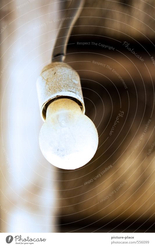 Dirty glowing light bulb with blurred background Lamp Electric bulb Wood Adventure Senior citizen Bizarre Apocalyptic sentiment Innovative Inspiration